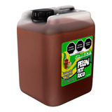 Garrafa De Tamarindo Liquido Pelon Pelo Rico 5.2kg