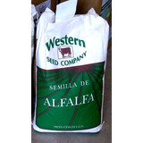Semilla De Alfalfa Cuf 101 Peletizada Saco De 20 Kg 