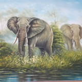 Cuadro Elefante Al Oleo 50x60