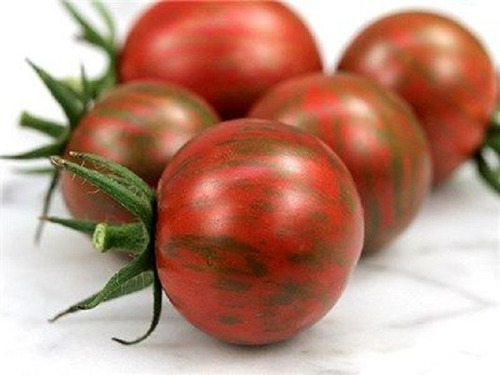 Tomate Hibrido Tigre - 70mg / 20 Sementes
