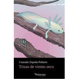 Trizas De Viento Seco, De Zepeda-pallares, Conrado. Editorial Valparaiso Ediciones, Tapa Blanda En Español