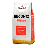 Mezcla Cementicia Plástica Reparar Exterior Recumix 1,25 Kg 