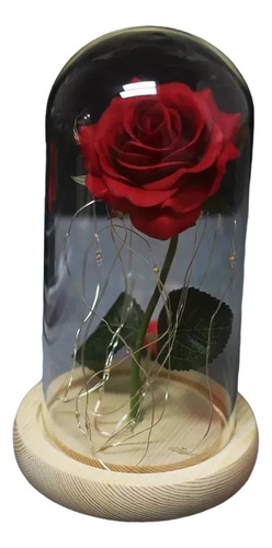 Rosa Artificial Eterna Encapsulada Luz Led San Valentín Base