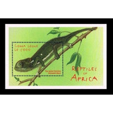 Fauna - Reptil - Camaleón - Sierra Leona - Mint