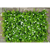 Panel Muro Verde Artificial 40x60 Premium Cerco Seto Flores