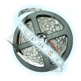 Tira De Led 5050 300leds 5m Blanco Frio Siliconado Garantia