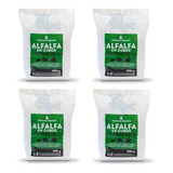 Alfalfa En Cubos X 500g X 4 Unidades Hamster Cobayo Conejo  