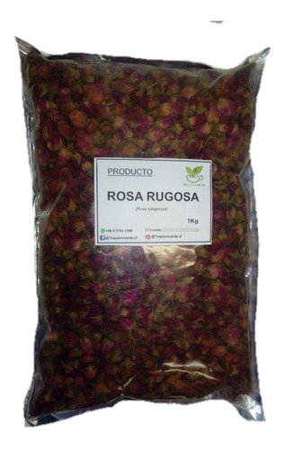 Rosa Rugosa 1 Kilo 100% Natural