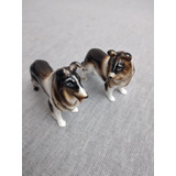 Mini Escultura De Porcelana, Perros Collies Rough