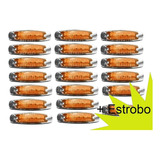 Plafon Tipo Peter 12 Led Con Estrobo Ambar 20 Pza