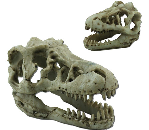 Tinsow 2 Piezas De Resina Emulacional Dinosaurio Calavera Pe