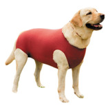 Roupa Castração Com Proteção Solar Cachorro Porte Grande