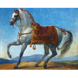 Lienzo Tela Marengo Caballo De Napoleón Antoine Jean Gros