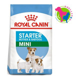 Royal Canin Mini Starter X3kg- E/gratis Zona Oeste Huellitas