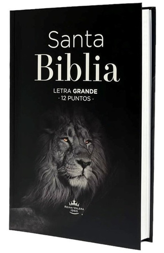 Biblia Reina Valera 1960 Tamaño Manual Letra Grande  León 