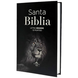 Biblia Reina Valera 1960 Tamaño Manual Letra Grande  León 