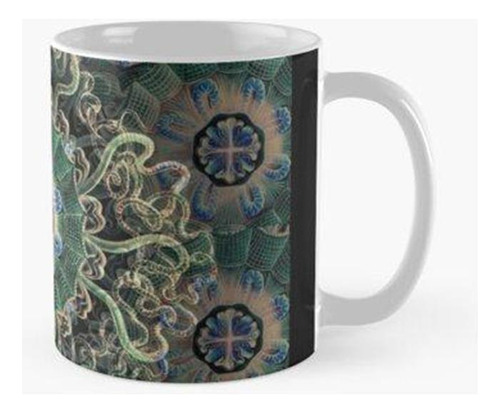 Taza Peromedusa Espejo En Colores Profundos Calidad Premium