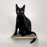 Repisa/escalera Para Gatos | Diseño Moderno | 30x23 Cm (vu)