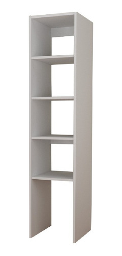 Columna Con Estantes Para Interior Placard O Vestidor 40 B