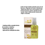 Óleo Capilar De Argan Série Ouro 60ml Alquimia Atacado C/ 12