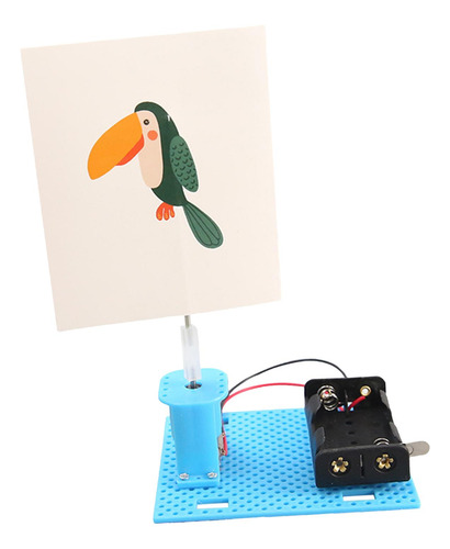 Diy Experimentos De Ciencia Jaula Eléctrica Pájaro