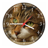 Relógio Parede Animais Gato Decorar Salas Pet Shop H