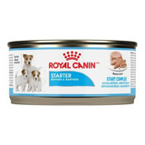 24 Latas Royal Canin Starter Mousse 145 G