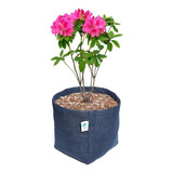 Vaso De Flores 11 Litros Feltro Decoração Plantas King Pot Cor Azul-marinho