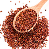 Quinoa Roja 1 Kilo - La Nou