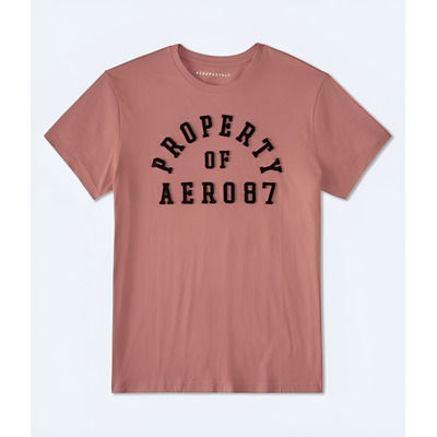 Ripley Precio Poleras Aeropostale POLERA AEROPOSTALE GRAPHICS