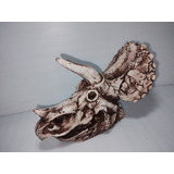 Triceratops Craneo De Resina, Decoración Para Pecera