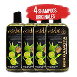 Kit De 4 Shampoos Midai Bergamota Con Menta Libre De Sal