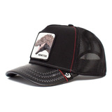 Gorra Goorin Bros Baseball Lizards Dino Visera Cuero Asfl70