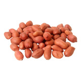 Amendoim Runner Crú Com Pele 500 G