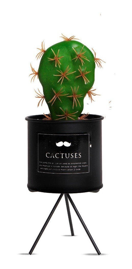 Cactus con maceta Negra y pie F