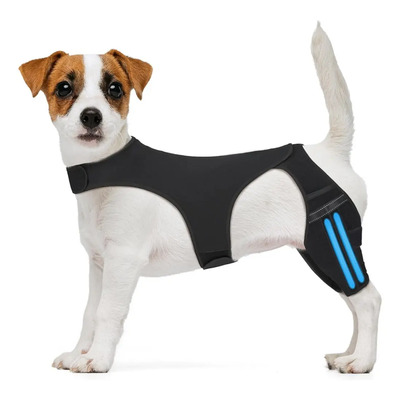 Soporte Ajustable Para Piernas Con Rodillera Para Perros .\u002F | Envío gratis