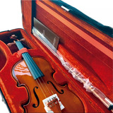 Violino 4/4 Eagle Ve441 Envernizado Novo Estojo Extra Luxo