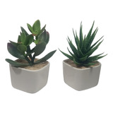 2 Vaso Vasinhos  Com Plantinha Suculentas Artificial