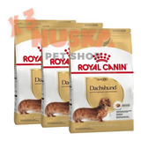 Royal Canin Dachshund Adulto 3 Kg X 3 Unidades Salchicha