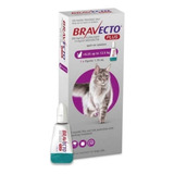 Bravecto Plus Pipeta Para Gatos 6.25 A 12.5 Kg | 