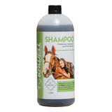 Shampoo Fortalecedor Con Extracto Natural De Matico