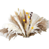 110 Pampas Grass Dry Boho Decor Natural Fluf