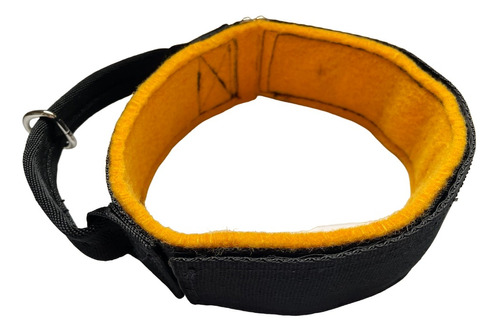 Collar De Intervención , Para Perro, 50cm Largo, 5cm Ancho