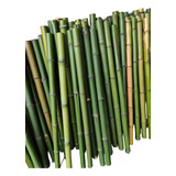 12 Varas Bambú Tutor Jardin Cultivo Estaca 90cm/4-5cm Grosor