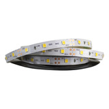 Fita Led Branco Frio 6500k Cor Clara 12v 60 Leds Blumenau Cor Da Luz Branco-frio 110v/220v