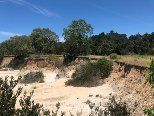 Terreno En Santa Isabel De La Pedrera, Rocha. 16x32 661m2 