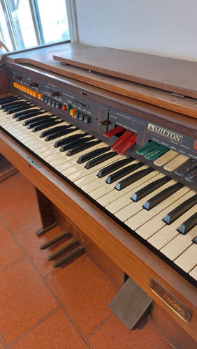 Orgáno Miltón Buddy's - Piano Eléctrico
