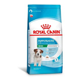 Ração Royal Canin Filhote Puppy Mini 1kg