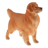 Simulação Golden Retriever Animal Model Figure Brinquedo