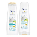 Dove Nutritive Coconut Hydration Shampoo Y Conditioner Kit 2